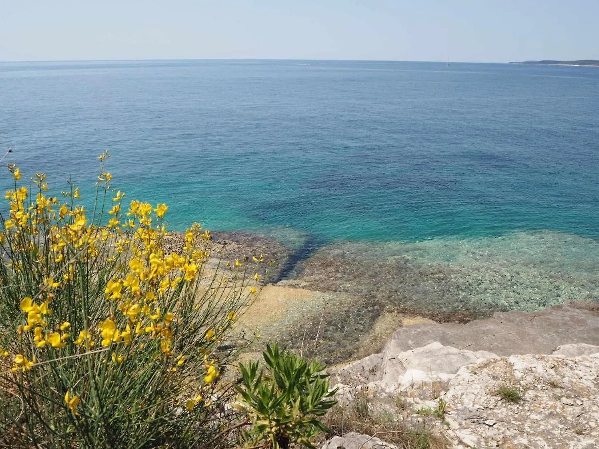 Apartment Apartman Moro Pula
